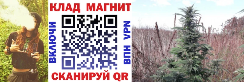 Какие есть наркотики Прохладный Бошки Шишки  Мефедрон  Cocaine  АМФЕТАМИН  ГАШИШ 