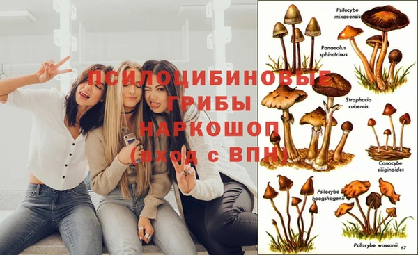 ALPHA-PVP Покачи