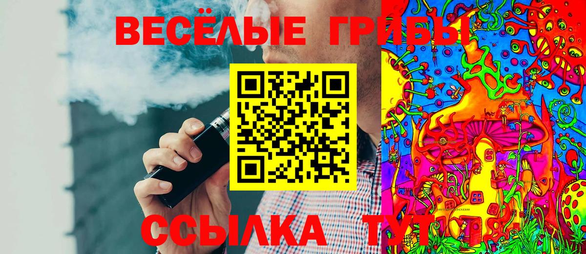 Псилоцибиновые грибы мицелий  Вход с VPN  Прохладный 