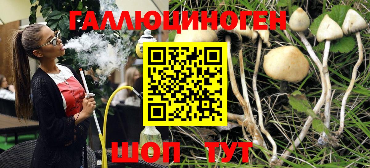 Прохладный  Псилоцибиновые грибы Magic Shrooms  Вход с VPN 