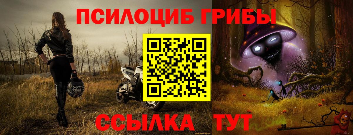 Псилоцибиновые грибы ЛСД Прохладный
