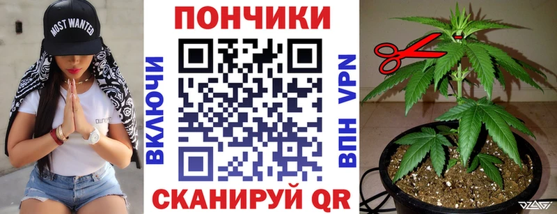 купить наркоту  Прохладный  МАРИХУАНА Amnesia 